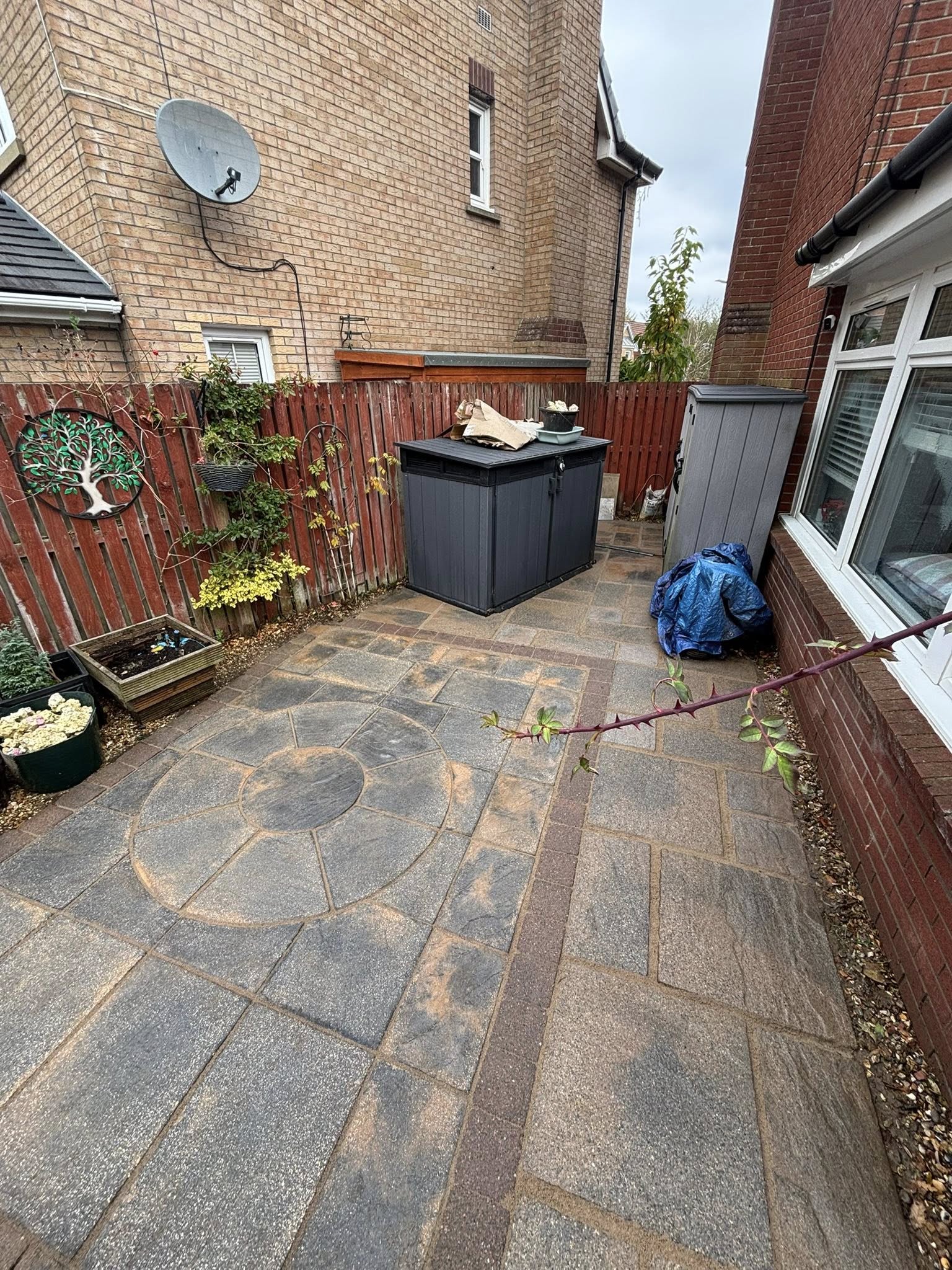 Specialist Exterior Cleaning Services in Livingston